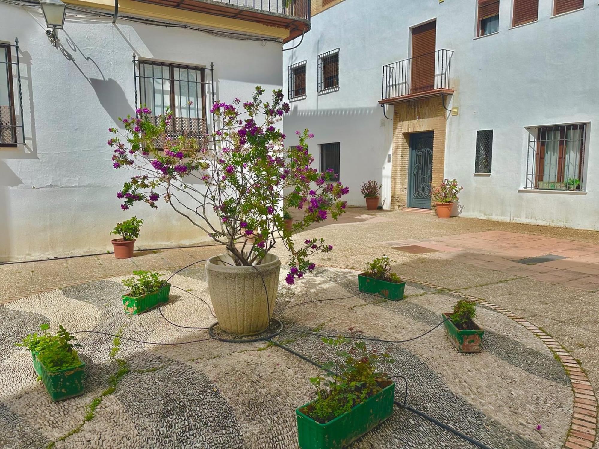 Orive House Apartment Cordoba Luaran gambar